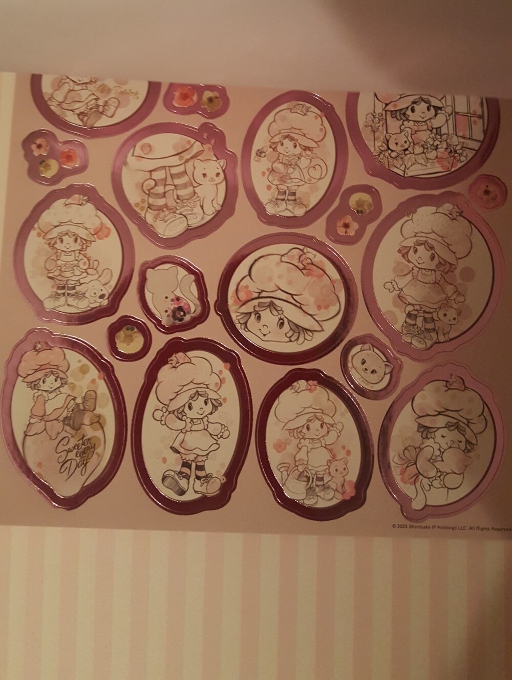 The World of Strawberry Shortcake Stickerland Embellished Stickers - Red & Pink - Picture 8 of 8